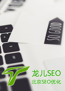 ػʵSEO˾